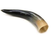 Polished WB Cow Horn 12-1/2"L #55 Groove Through Pointed End