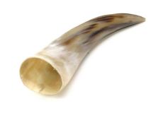 Polished Water Buffalo Cow Horn 12-1/4" L #11