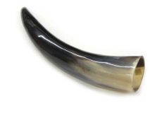 Polished WB Cow Horn 13-3/4" L #12 
