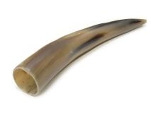 Polished Water Buffalo Cow Horn 13-3/4"L #22 Delamination Edge