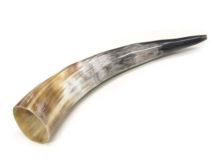 #39 Polished Water Buffalo Cow Horn Create a Powder Horn 13-3/4"L