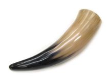 Polished WB Cow Horn 10"L #55