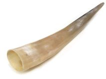 #65 Polished Water Buffalo Cow Horn Create A Powder Horn 15-1/2"L Flat Spot