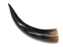 Polished Water Buffalo Cow Horn 13-3/8" L #68