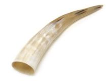Polished Water Buffalo Cow Horn 13-3/4" #70