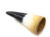 Polished Water Buffalo Cow Horn 7-3/4" L #K Sorta Flat Style