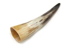 Polished Water Buffalo Cow Horn 9-3/8" L #P