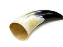 Polished Water Buffalo Cow Horn 9-1/4" L#W Large 2-3/4" Bell