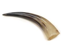 Polished Steer Cow Horn 13-3/4" L #04 Plugged Hole in Tip
