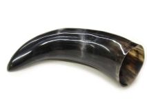 Polished Water Buffalo Cow Horn 11-1/2" #13 Chips and Delamination
