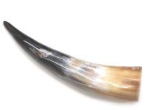 Polished Steer Cow Horn 12-1/2" L #57