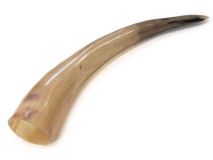 Polished Water Buffalo Cow Horn 15-1/8" L #79 Blistered