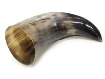 Polished Steer Cow Horn 13-1/2" L #04 Jumbo 3-1/4" x 3" Bell