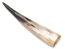 #29 Polished Water Buffalo Cow Horn Create a Powder Horn 13-3/8"L Flat Style