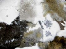 Scrap Rabbit Skin Hide Fur Tanned Pelts with Flaws, Holes and or Blald Spots Clearance