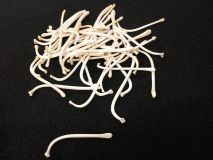 Raccoon Penis Baculum Bone 2 1/2" to 3" #2 Grade