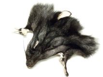 Silver Fox Scrap Fur Hide Commmercially Tanned Face