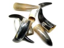 6" to 9" Small Polished Water Buffalo Cow Horns Build a Powder Horn