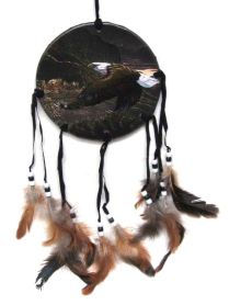 Soaring Bald Eagle 6" Dreamcatcher Feathered Shield