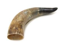 Natural Water Buffalo Cow Horn 11-5/8" L #R02
