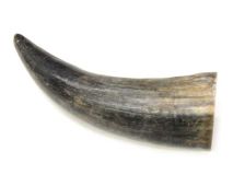 Natural Semi Polished Water Buffalo Cow Horn 11-1/4" L #R05