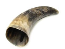 Natural Semi Polished Water Buffalo Cow Horn 11-1/4" L #R06