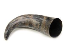 Natural Semi Polished Water Buffalo Cow Horn 13-1/4" L #R15 Large 3" Bell