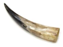 Natural Semi Polished Water Buffalo Cow Horn 13-3/4" L #R18 Delamination