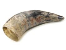 Natural Semi Polished  Water Buffalo Cow Horn 12-3/4" L #R20 Large 3" Bell 