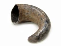 Natural Semi Polished Water Buffalo Cow Horn 15-1/2" L #R13