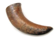 Natural Semi Polished Water Buffalo Cow Horn 14 1/4" L #R10 Jumbo 3 3/4 Bell