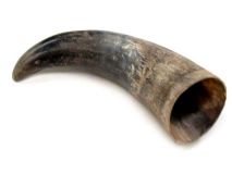 Natural Water Buffalo Cow Horn 11" L #R02