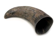 Natural Semi Polished Water Buffalo Cow Horn 13" L #R25