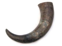 Natural Water Buffalo Cow Horn 12-3/4" L#R26