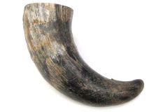 Natural Semi Polished Water Buffalo Cow Horn 13-1/2" L #R28 Delamination 4" Bell
