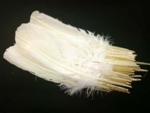 1/4 LB White Turkey Quill Feathers Apx. 75 Craft Feathers
