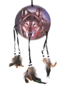 Wolf Face 6" Dreamcatcher Feathered Shield