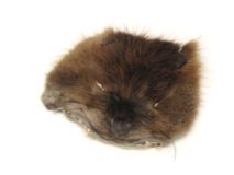 Beaver Scrap Fur Hide Face Medium