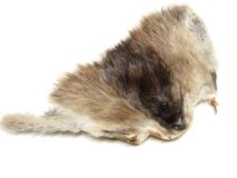 Muskrat Scrap Fur Hide Face Medium