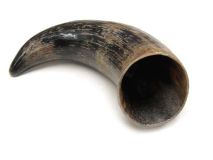 Natural Semi Polished Water Buffalo Cow Horn 13 1/2" L #R30 Large 3 3/4" Bell