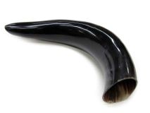 Polished WB Cow Horn 12 3/8"L #41