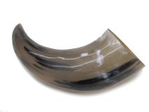 Polished Water Buffalo Cow Horn 14"L #17 Jumbo 3x4" Bell Opening