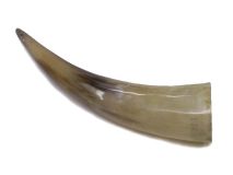 Polished WB Cow Horn 12-1/2"L #32