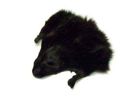 Professionally Tanned Fur Pelt Hide Black Fox Faces 